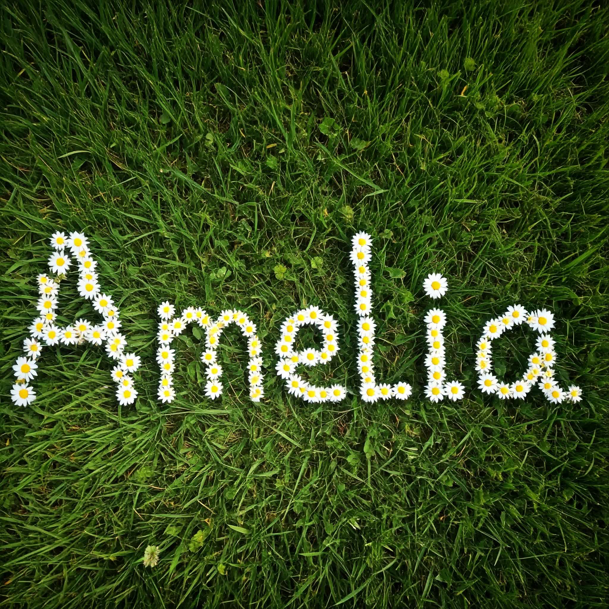Amelia composed of flowers